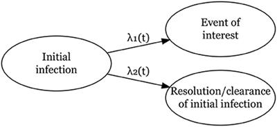 Flexible time-to-event models for double-interval-censored infectious disease data with clearance of the infection as a competing risk